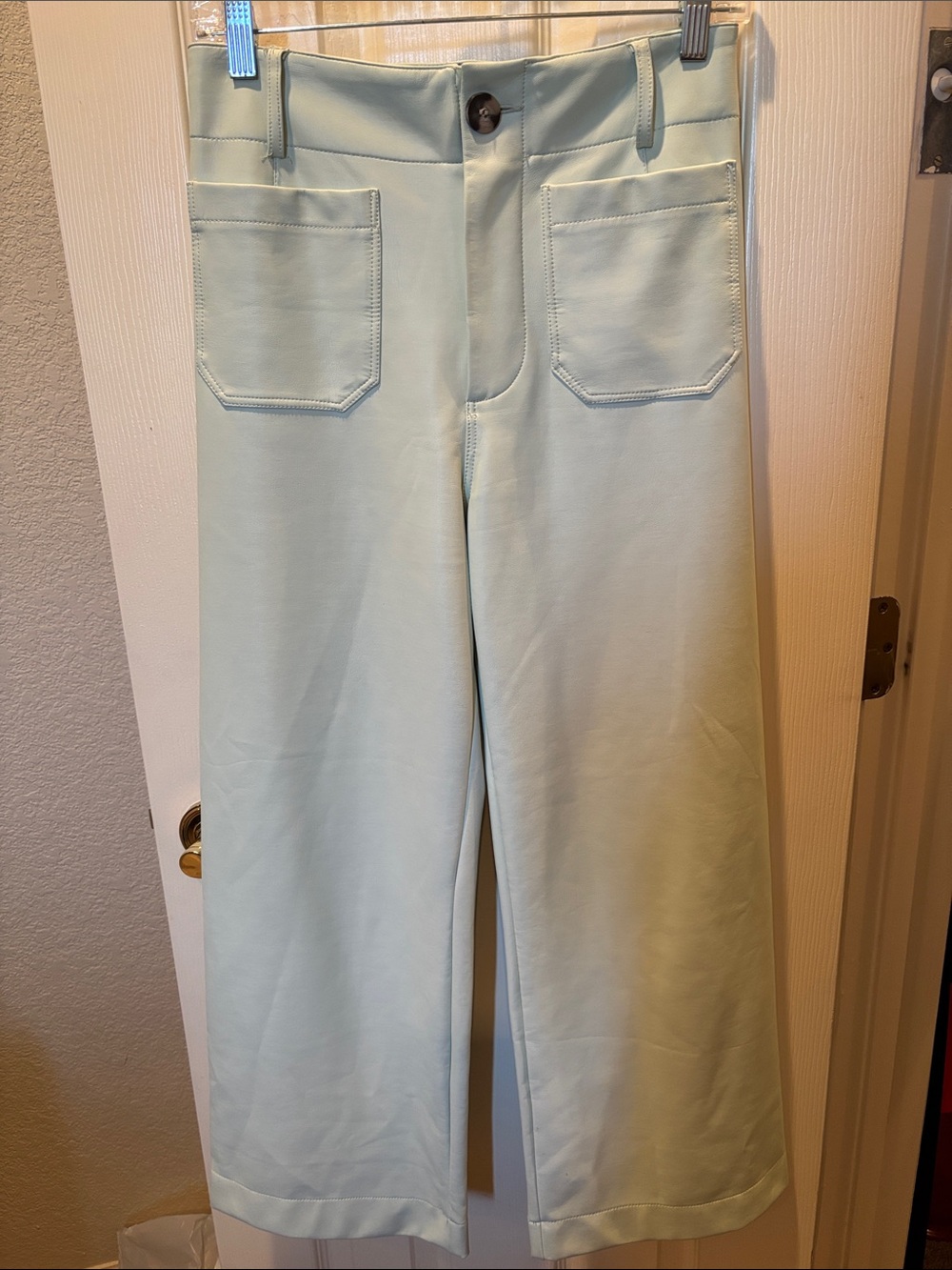 Anthropologie Maeve The Colette Crop Faux Leather Wide Leg Pants Mint Green 26